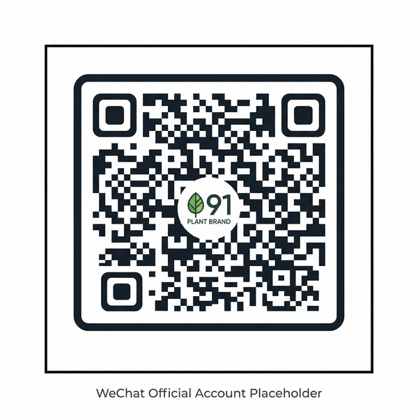 麻豆视频公众号二维码